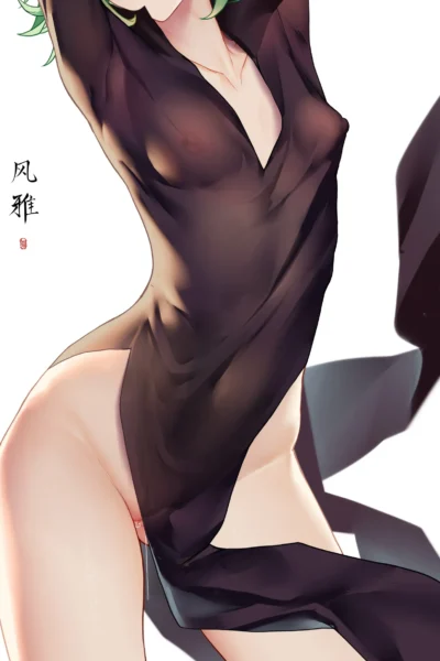 Erotica One Punch Man Hentai Art